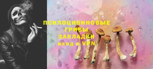 PSILOCYBIN Богородицк