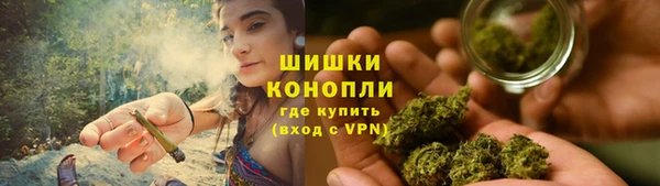 PSILOCYBIN Богородицк