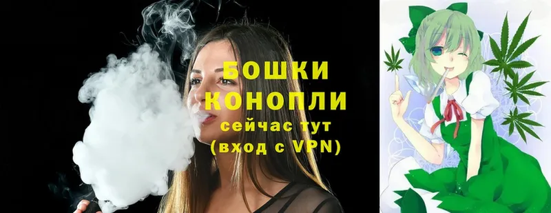 MEGA зеркало  купить наркоту  мориарти официальный сайт  Канабис SATIVA & INDICA  Будённовск 